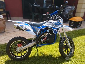 MINIMOTO GAZELLE 