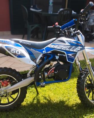 MINIMOTO GAZELLE 