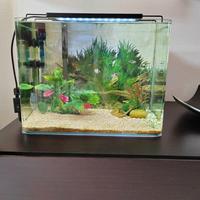 acquario 40 litri 