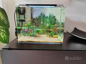 acquario 40 litri 