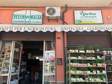 Negozio