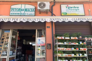 Negozio