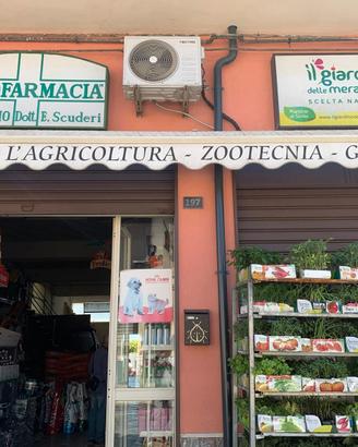 Negozio