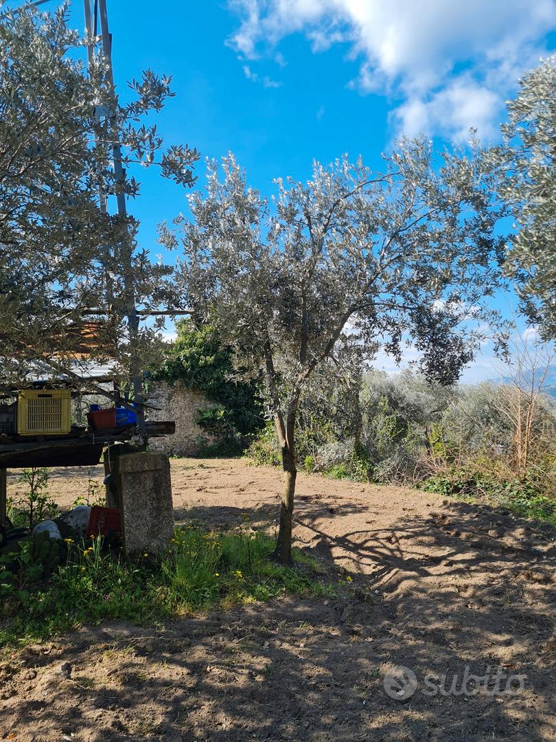 Terreno agricolo San Carlo Vallefrischi - Vista 2