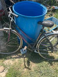 Bici da donna