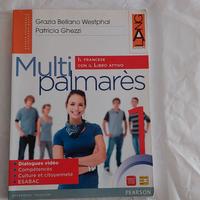 Multipalmares. Con espansione online. Vol. 1