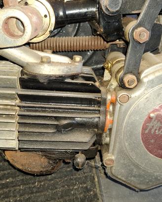 Mosquito moto Garelli 38 B