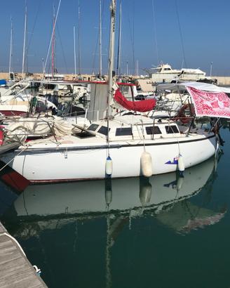 Natante a vela 7m