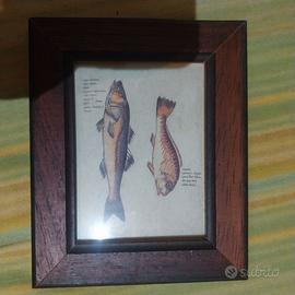 quadretti da appendere