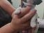 Immagine 1