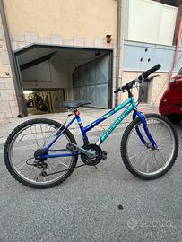 Bicicletta