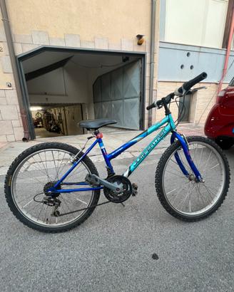 Bicicletta