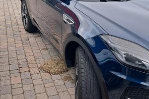 JAGUAR E-Pace 1.5 I3 160 CV Benzina