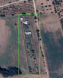 Terreno agricolo a Pontelatone di 3.338 mq