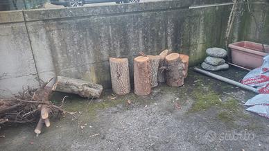 tronchi di legno