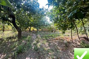 Terreno Agricolo Cataforio 1500 Mq