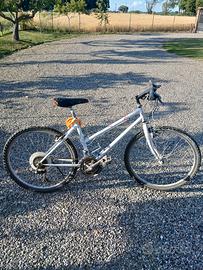 bicicletta