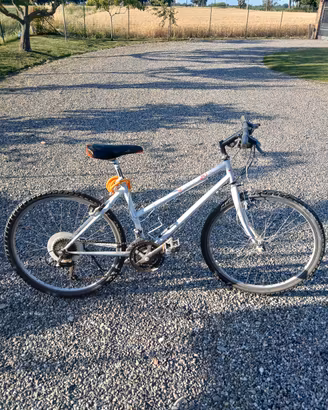 bicicletta
