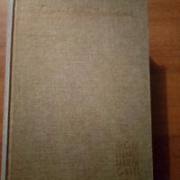 libro lavoriamo insieme guida didattica 