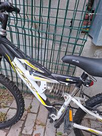 mtb ruote 24 