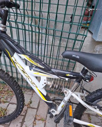 mtb ruote 24 