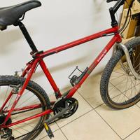 Bicicletta 26 Uomo Mountain Bike