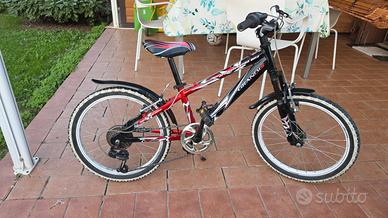 bicicletta