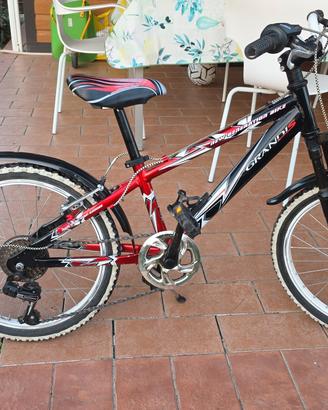 bicicletta