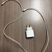 Caricabatterie apple originale usb/c- lighting