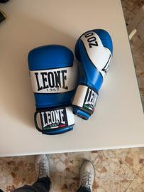 Guanti pugilato leone