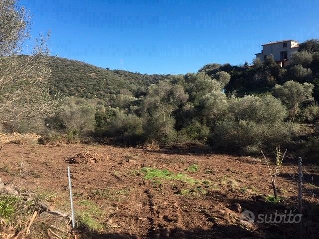 Terreno Agricolo | San Teodoro - Vista 4
