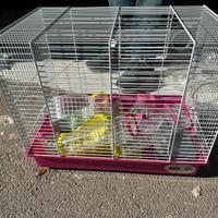 Gabbia per Criceti