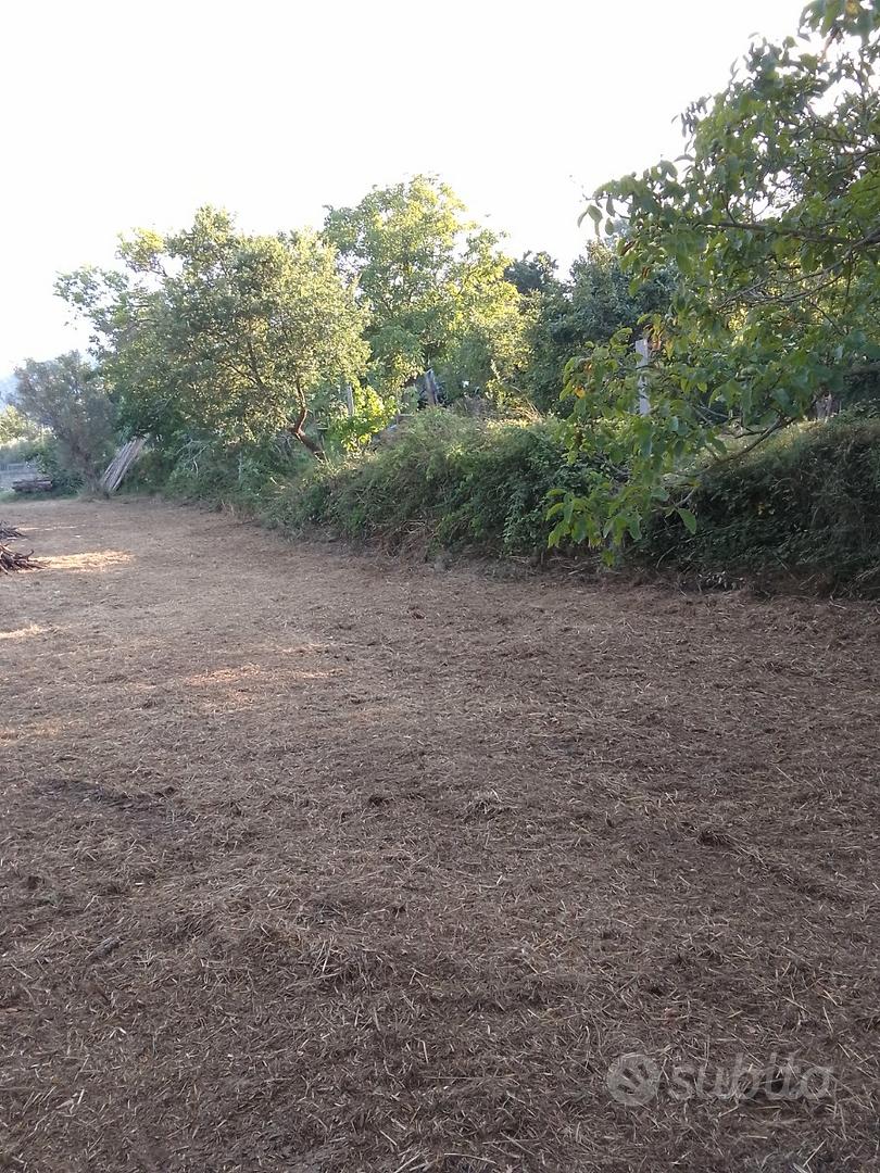 Terreno agricolo - Vista 5