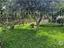 Immagine 23