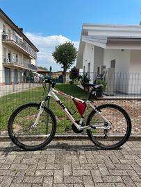 MTB KTM Chicago 26”