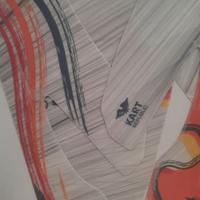 Kart kit adesivi carenature KR - DAP