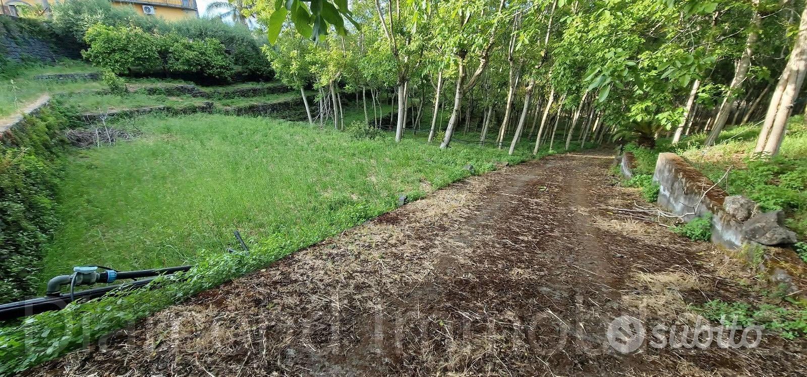 Fabbricati con terreno a Piedimonte Etneo - Vista 4