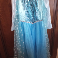 Vestito di carnevale di Frozen