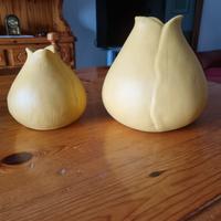 Vasi bulbo in terracotta