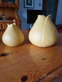 Vasi bulbo in terracotta