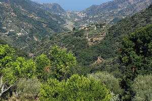 Vendita terreno con fabbricato già ristrutturato