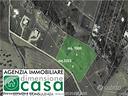 rif-ta51-terreno-agricolo-san-cataldo