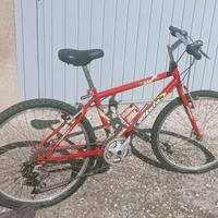 Bicicletta Atala bambini