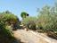 Immagine 25