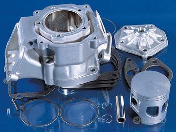 KIT MOTORE ROTAX 123