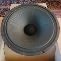 Cono per chitarra 12" 30W