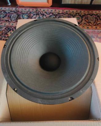 Cono per chitarra 12" 30W
