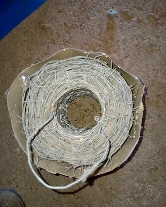 filo spinato