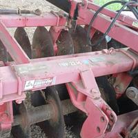 Frangizolle angeloni