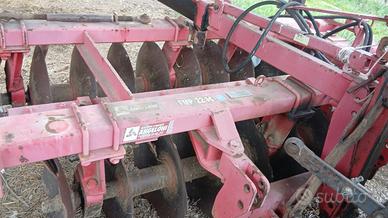 Frangizolle angeloni